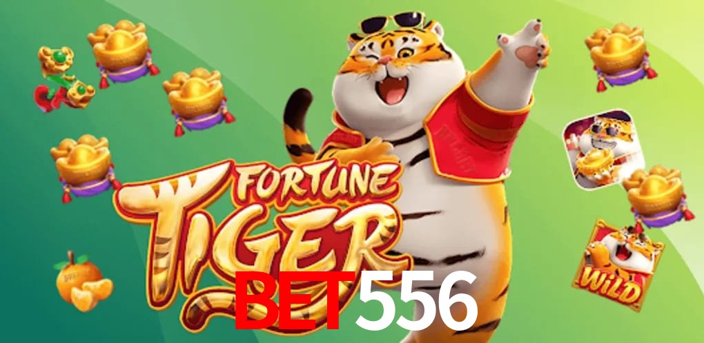 Experiência VIP Bet556